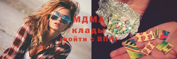 прущие грибы Аркадак