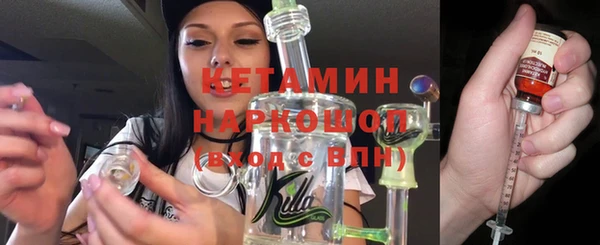 прущие грибы Аркадак