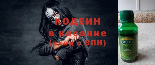 прущие грибы Аркадак