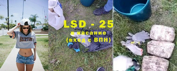прущие грибы Аркадак