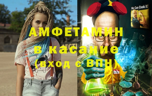 прущие грибы Аркадак