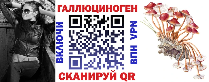 hydra ссылки  Рошаль  Псилоцибиновые грибы Cubensis  продажа наркотиков 